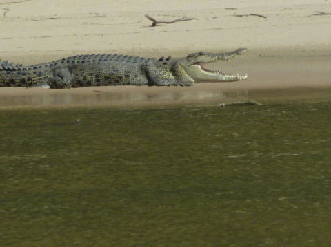 3-Day Kakadu National Park And Waterfalls Tour From Darwin - Kingaroy Accommodation 4