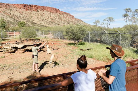 Alice Springs Desert Park General Entry Ticket - Kingaroy Accommodation 9
