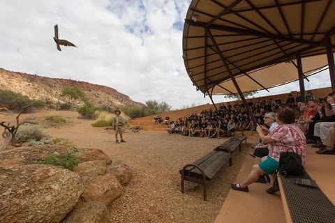 Alice Springs Desert Park General Entry Ticket - Kingaroy Accommodation 5