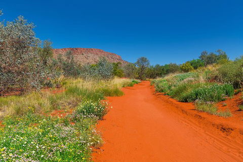 Alice Springs Desert Park General Entry Ticket - Kingaroy Accommodation 7