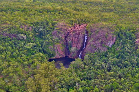Litchfield Park & Daly River - Scenic Flight From Darwin - Kingaroy Accommodation 9