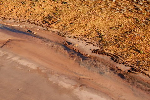 Scenic Flight: Lizard Safari - Kingaroy Accommodation 4