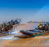 1 Hour Darwin Airboat Tours - Kingaroy Accommodation
