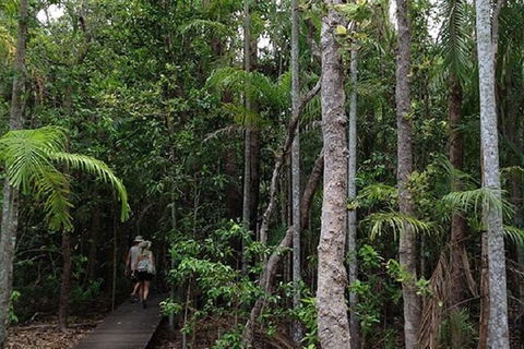 Litchfield National Park And Jumping Crocodile Cruise - Kingaroy Accommodation 5