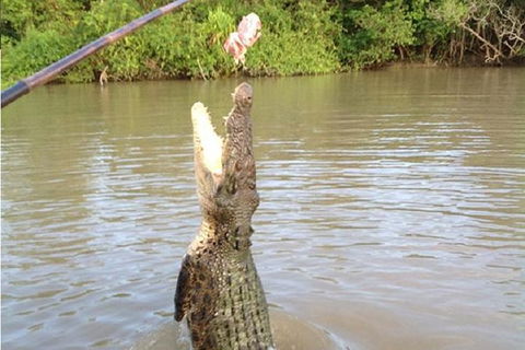 Litchfield National Park And Jumping Crocodile Cruise - Kingaroy Accommodation 10