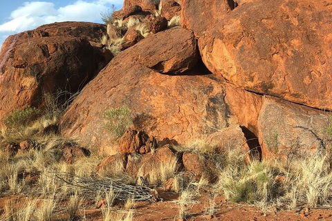 Aboriginal Homelands Experience From Ayers Rock Including Sunset - Kingaroy Accommodation 9
