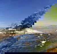 5-Day Top End Kakadu National Park Arnhem Land and Litchfield National Park Camping Tour from Darwin - Kingaroy Accommodation