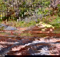 Litchfield National Park Day Tour from Darwin With Waterfalls And Buley Rockhole - Kingaroy Accommodation
