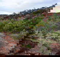 Palm Valley and Hermannsburg 1 Day 4WD Tour - Kingaroy Accommodation