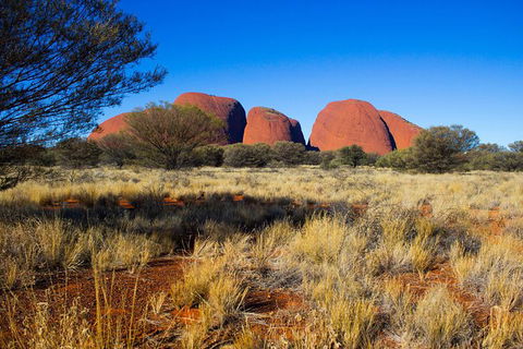 Ayers Rock 4 Tour Combo: Complete Uluru Base Walk At Sunrise, Valley Of The Winds At Sunrise, Kata Tjuta Sunset And Uluru Sunset - Kingaroy Accommodation 12