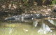 2-Day Kakadu And Arnhem Land Tour From Darwin - thumb 2