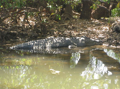 2-Day Kakadu And Arnhem Land Tour From Darwin - Kingaroy Accommodation 2