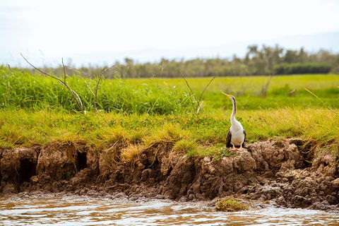2-Day Kakadu And Arnhem Land Tour From Darwin - Kingaroy Accommodation 9