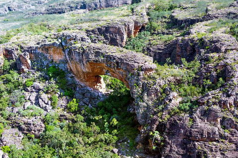 Darwin To Katherine Day Trip By Air Including Nitmiluk (Katherine) Gorge Cruise - Kingaroy Accommodation 5