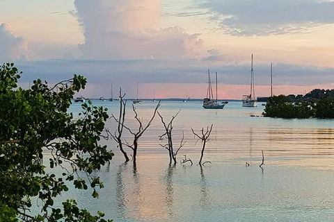 Tropical Light Tropical Bite - Twilight Cruise And CHOW Dinner - Kingaroy Accommodation 7