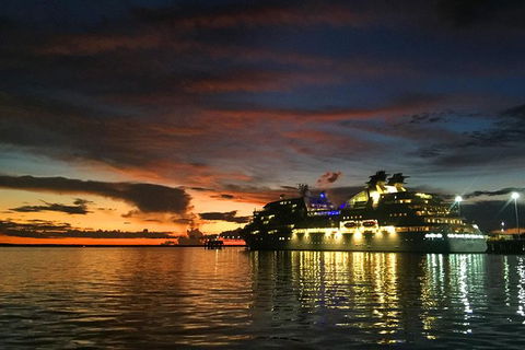 Tropical Light Tropical Bite - Twilight Cruise And CHOW Dinner - Kingaroy Accommodation 6