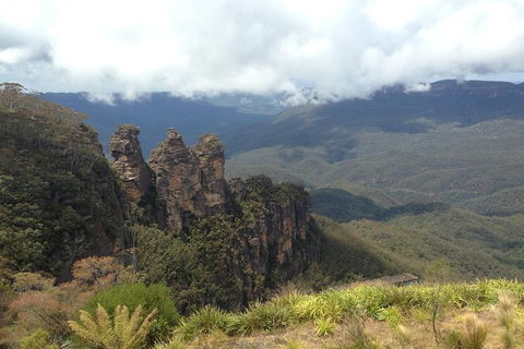 All-Inclusive Blue Mountains Tour In A Luxury Mercedes Sprinter - Kingaroy Accommodation 11