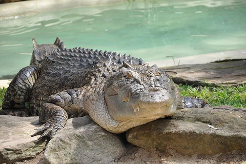 All-Inclusive Blue Mountains Tour In A Luxury Mercedes Sprinter - Kingaroy Accommodation 14