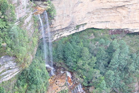 All-Inclusive Blue Mountains Tour In A Luxury Mercedes Sprinter - Kingaroy Accommodation 17