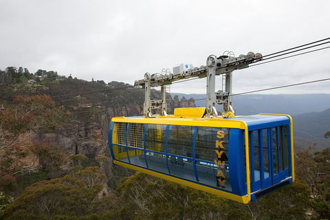 All-Inclusive Blue Mountains Tour In A Luxury Mercedes Sprinter - Kingaroy Accommodation 10