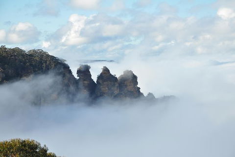 All-Inclusive Blue Mountains Tour In A Luxury Mercedes Sprinter - Kingaroy Accommodation 15