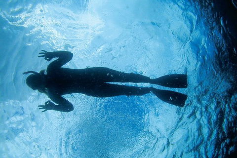 3-Hour Sea Turtle Snorkeling Experience In Byron Bay - Kingaroy Accommodation 9
