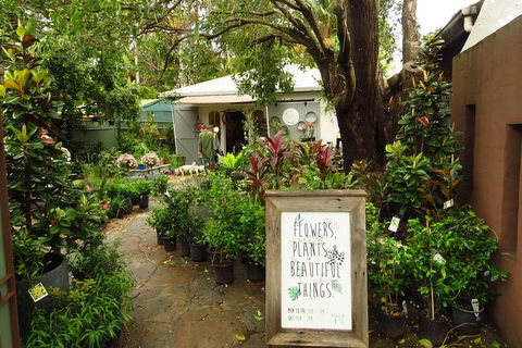 Beyond Byron Hinterland Tour - Kingaroy Accommodation 2