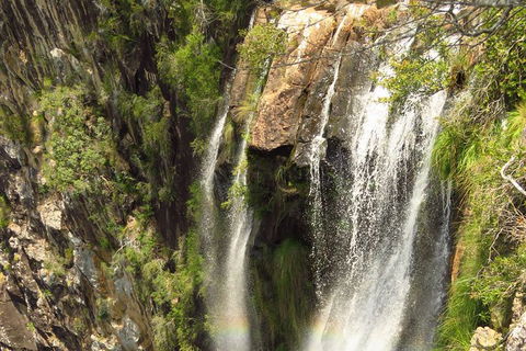 Beyond Byron Hinterland Tour - Kingaroy Accommodation 10