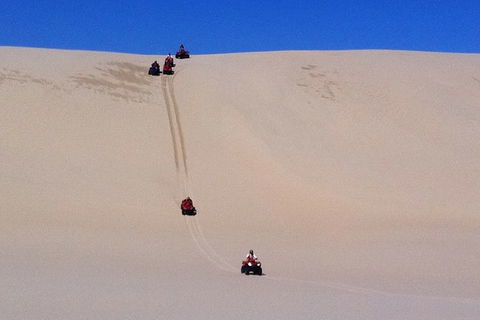 Worimi Sand Dunes Quad Bike Tour - Kingaroy Accommodation 3