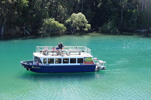 Brunswick Heads Rainforest Eco-Cruise - Kingaroy Accommodation 0