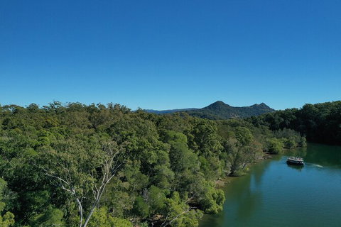 Brunswick Heads Rainforest Eco-Cruise - Kingaroy Accommodation 6