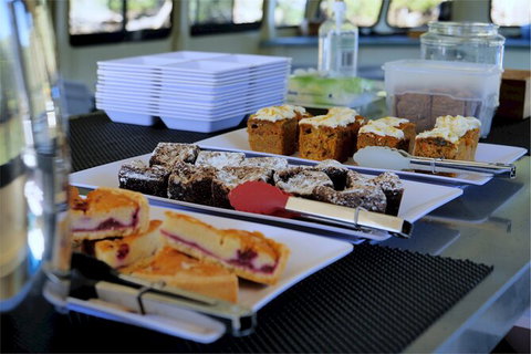 Brunswick Heads Rainforest Eco-Cruise - Kingaroy Accommodation 4