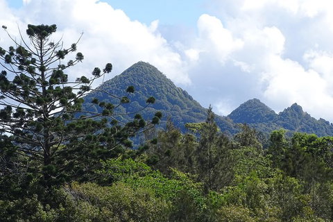 Brunswick Heads Rainforest Eco-Cruise - Kingaroy Accommodation 3