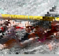 Jervis Bay Boom Netting and Dolphins Tour - Kingaroy Accommodation