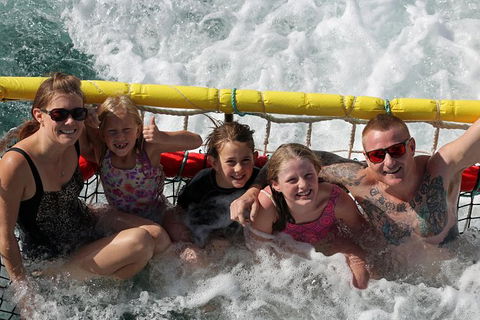 Jervis Bay Boom Netting And Dolphins Tour - Kingaroy Accommodation 0