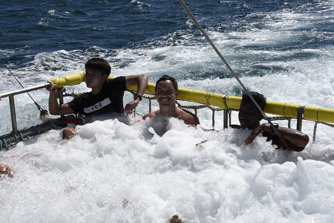 Jervis Bay Boom Netting And Dolphins Tour - Kingaroy Accommodation 9