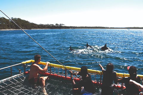 Jervis Bay Boom Netting And Dolphins Tour - Kingaroy Accommodation 2