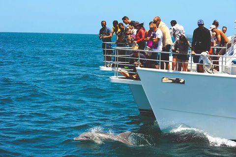 Jervis Bay Boom Netting And Dolphins Tour - Kingaroy Accommodation 10