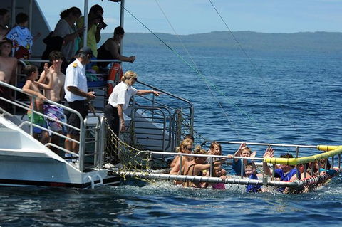 Jervis Bay Boom Netting And Dolphins Tour - Kingaroy Accommodation 5