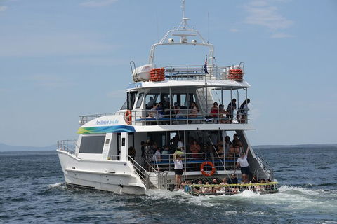 Jervis Bay Boom Netting And Dolphins Tour - Kingaroy Accommodation 12