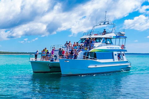 Jervis Bay Boom Netting And Dolphins Tour - Kingaroy Accommodation 3