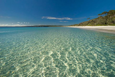 Jervis Bay South Coast Day Trip From Sydney - Cycling - Kingaroy Accommodation 0