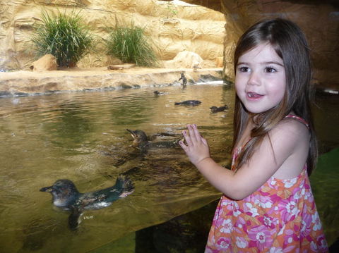 WILD LIFE Sydney Entrance Ticket - Kingaroy Accommodation 2