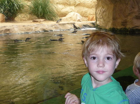 WILD LIFE Sydney Entrance Ticket - Kingaroy Accommodation 5