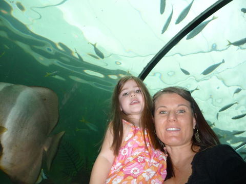 WILD LIFE Sydney Entrance Ticket - Kingaroy Accommodation 4