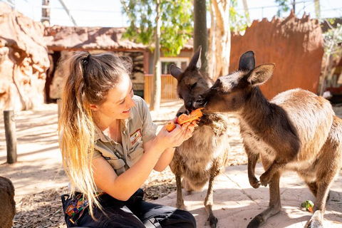 WILD LIFE Sydney Entrance Ticket - Kingaroy Accommodation 18