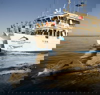 Jervis Bay Dolphin Watch Cruise - Kingaroy Accommodation