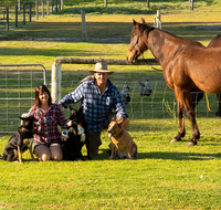 Meet The Animals - Kingaroy Accommodation