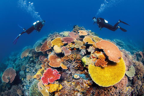 Agincourt Reef - Kingaroy Accommodation 0