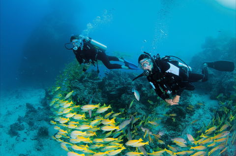 Agincourt Reef - Kingaroy Accommodation 2